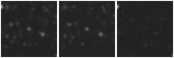 Missing file CFRS14.0573-custom-montage-W1W2.png