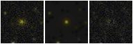 Missing file PGC051157-custom-montage-FUVNUV.png
