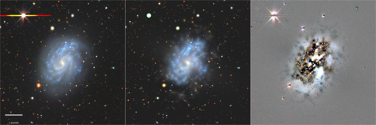 Missing file NGC5584-custom-montage-grz.png