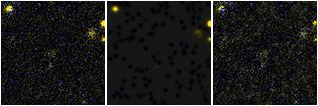 Missing file PGC2061673-custom-montage-FUVNUV.png
