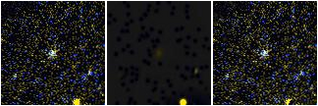 Missing file PGC2302135-custom-montage-FUVNUV.png