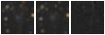 Missing file SDSSJ142359.17+495011.2-custom-montage-W1W2.png