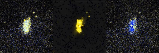 Missing file NGC5667-custom-montage-FUVNUV.png