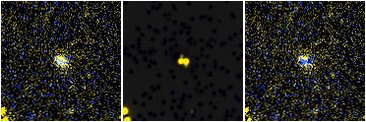 Missing file PGC051694-custom-montage-FUVNUV.png