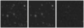 Missing file PGC051797-custom-montage-W1W2.png