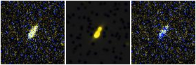 Missing file PGC2589926-custom-montage-FUVNUV.png