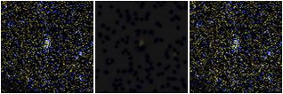 Missing file AGC249180-custom-montage-FUVNUV.png