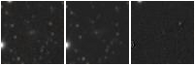 Missing file PGC087297-custom-montage-W1W2.png