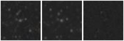 Missing file GAMA251645-custom-montage-W1W2.png