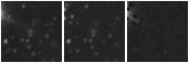 Missing file PGC1236341-custom-montage-W1W2.png