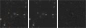 Missing file PGC1602771-custom-montage-W1W2.png