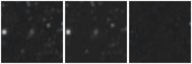 Missing file PGC2053650-custom-montage-W1W2.png