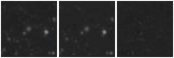 Missing file PGC2816115-custom-montage-W1W2.png
