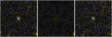 Missing file SDSSJ144536.28+341043.8-custom-montage-FUVNUV.png