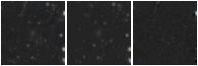 Missing file SDSSJ144536.28+341043.8-custom-montage-W1W2.png