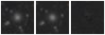 Missing file PGC052903-custom-montage-W1W2.png