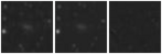 Missing file PGC053115-custom-montage-W1W2.png