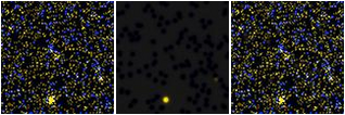 Missing file VFID3444-custom-montage-FUVNUV.png