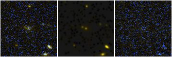 Missing file PGC184851-custom-montage-FUVNUV.png