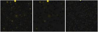 Missing file PGC1192611-custom-montage-FUVNUV.png