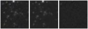 Missing file PGC1192611-custom-montage-W1W2.png