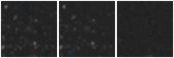 Missing file AGC258694-custom-montage-W1W2.png