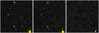Missing file NGC5846_CMI2006_F01-1591-custom-montage-FUVNUV.png