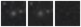 Missing file PGC1190714-custom-montage-W1W2.png