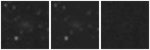 Missing file PGC3098573-custom-montage-W1W2.png