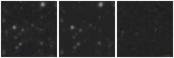 Missing file AGC258696-custom-montage-W1W2.png