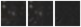 Missing file PGC2453040-custom-montage-W1W2.png