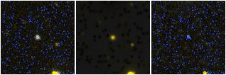Missing file SDSSJ151746.79+181053.2-custom-montage-FUVNUV.png
