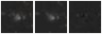 Missing file SDSSJ152230.10+405251.8-custom-montage-W1W2.png