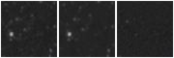 Missing file AGC258598-custom-montage-W1W2.png