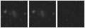 Missing file SDSSJ152720.05+485224.9-custom-montage-W1W2.png