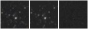 Missing file AGC258133-custom-montage-W1W2.png