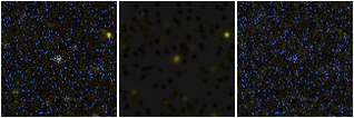 Missing file AGC258420-custom-montage-FUVNUV.png