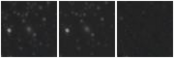 Missing file PGC2587333-custom-montage-W1W2.png