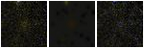 Missing file PGC2590679-custom-montage-FUVNUV.png