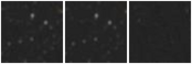 Missing file AGC258641-custom-montage-W1W2.png