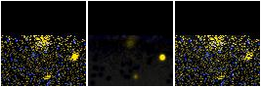 Missing file IC1131-custom-montage-FUVNUV.png