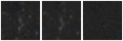 Missing file PGC1145574-custom-montage-W1W2.png