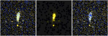 Missing file UGC09962-custom-montage-FUVNUV.png