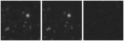 Missing file VFID0626-custom-montage-W1W2.png
