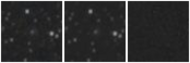 Missing file HIPASSJ1548+16-custom-montage-W1W2.png
