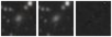 Missing file PGC056142-custom-montage-W1W2.png