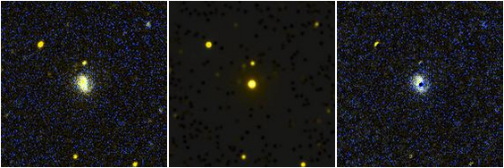 Missing file NGC6014-custom-montage-FUVNUV.png