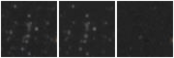 Missing file SDSSJ155701.55+300528.9-custom-montage-W1W2.png
