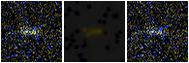Missing file SDSSJ160148.36+065018.4-custom-montage-FUVNUV.png