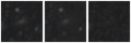 Missing file PGC2806949-custom-montage-W1W2.png